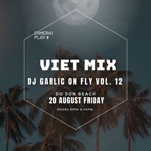 Viet Mix DJ Garlic On Mix Vol 12 *chill*