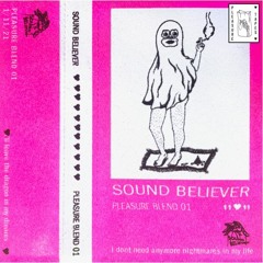 Sound Believer - Pleasure Blend 01  -  11:11