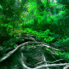 iblameddrugsbutitwasM3 (prod.Taigen)