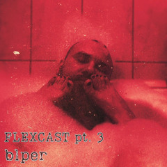 B1per - Flexcast 3