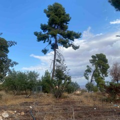 "All the Things You Mean"