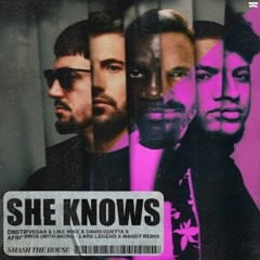 BEATDOWN - She Knows (Dimitri Vegas & Like Mike TML 23 Mashup)