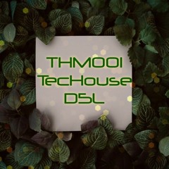 TecHouse THM001