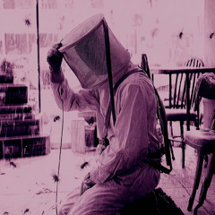 deadbeat