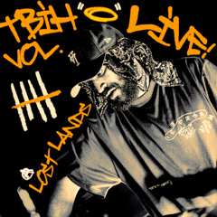 The Block Is Hot Vol.V: Live At Lost Lands