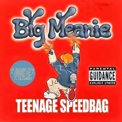 Teenage Speedbag (Self-Master)