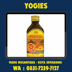 0831-7239-7127 ( YOGIES ), Madu Nusantara Kota Semarang