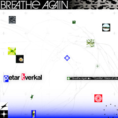 Comfort Vision of Life