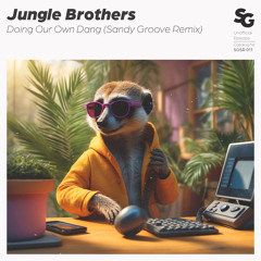 Jungle Brothers - Doing Our Own Dang (Sandy Groove Remix)