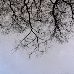 To Whom It May Concern