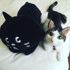 cashavist & 6evermir - ego (twentywrld)