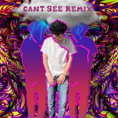 Cant See Remix - SerpaTCB (TrippieRed Remix)