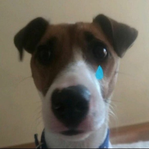 Hesitations Funk Tambor Conga by~prod. tsunami