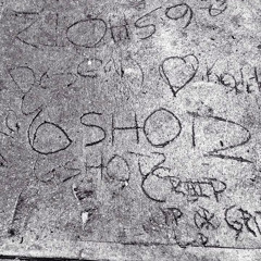 Lights Camera Action