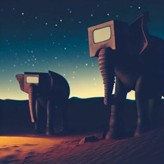Elephants At Night