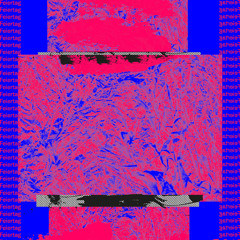Wanderer