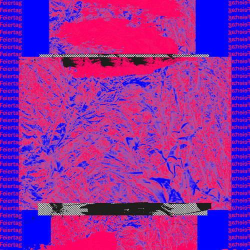 Wanderer