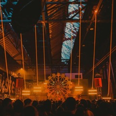 Spectrasoul feat. SP:MC @ Liquicity Winterfestival 2017