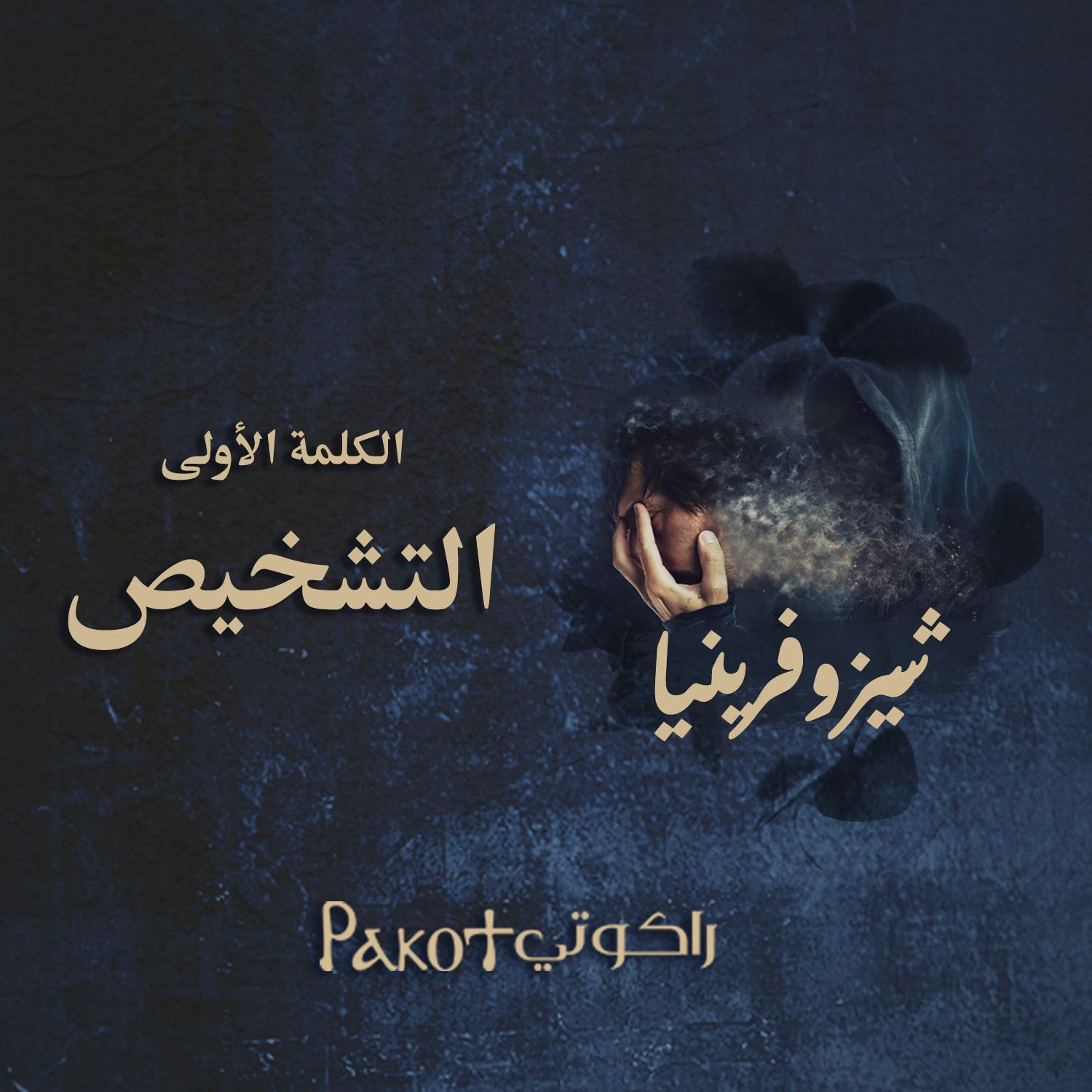 خلوة شيزوفرينيا| الكلمة الأولى - التشخيص| القس برسوم مراد