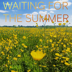 WaitingForTheSummer