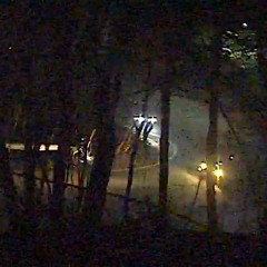 FRAGMENTED ECHOES OF DESOLATION