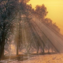 Wind Tunnel (Snippet)