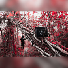 Wicked Woods