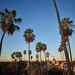 beverly