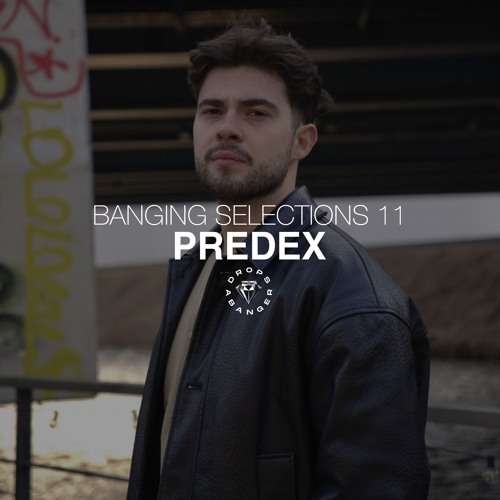 Banging Selections #11 by Predex