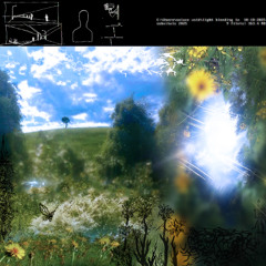non-linear dreamstate