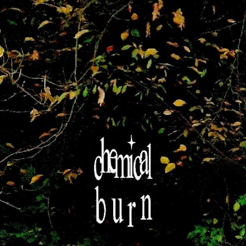 chemical burn w/ neverendingweekend & grwth
