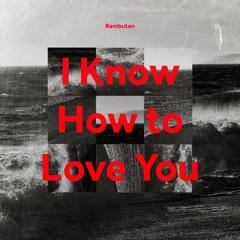 I Know How to Love You