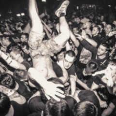 Moshpit Bootleg