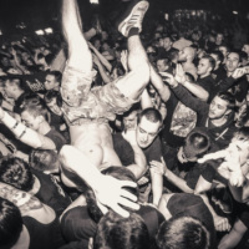 Moshpit Bootleg