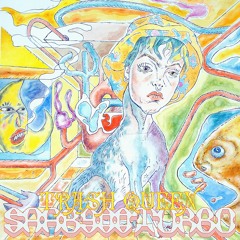 Saab900turbo - TrashQueen