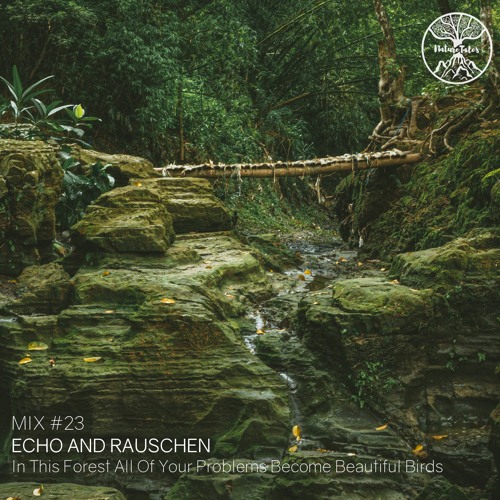 Nature Tales Mix #23: Echo and Rauschen - In This Forest All Your Problems Become Beautiful Birds