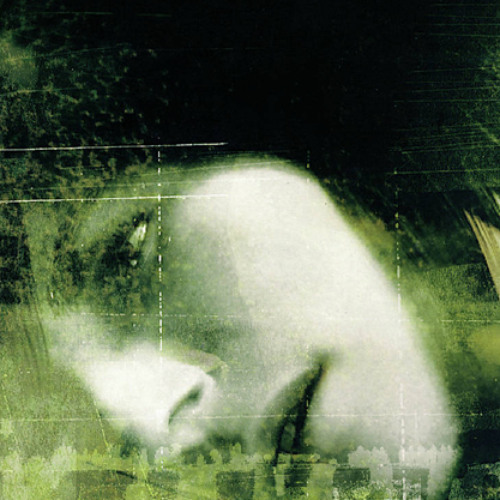 trappin in the hills