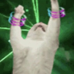 THE RAVE