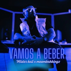 Mister Kali & Moombahkingz - Vamos a Beber