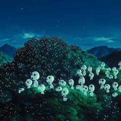 Ballade avec les Kodamas