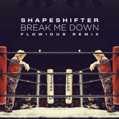 Shapeshifter - Break Me Down (Flowidus Remix)