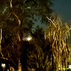 Sunfall (unreleased)