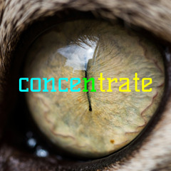 concentrate