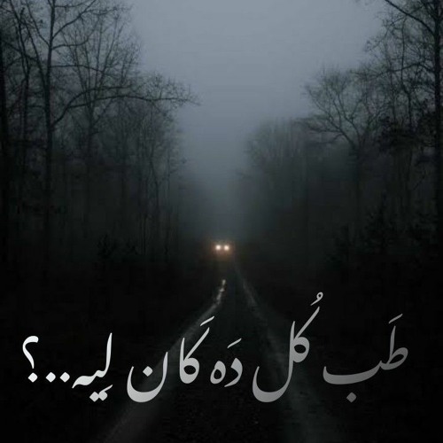 كُـل دَه كَـان لِـيه؟ - عُـمر أشـرَف.