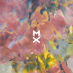 RÜFÜS DU SOL - Levitating (Matt Xes Remix)