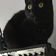 First Patch: Quad Operator