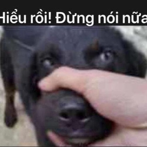 nhạc chill
