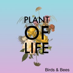 Birds & Bees (Plant of Life) (John Newman Remix)