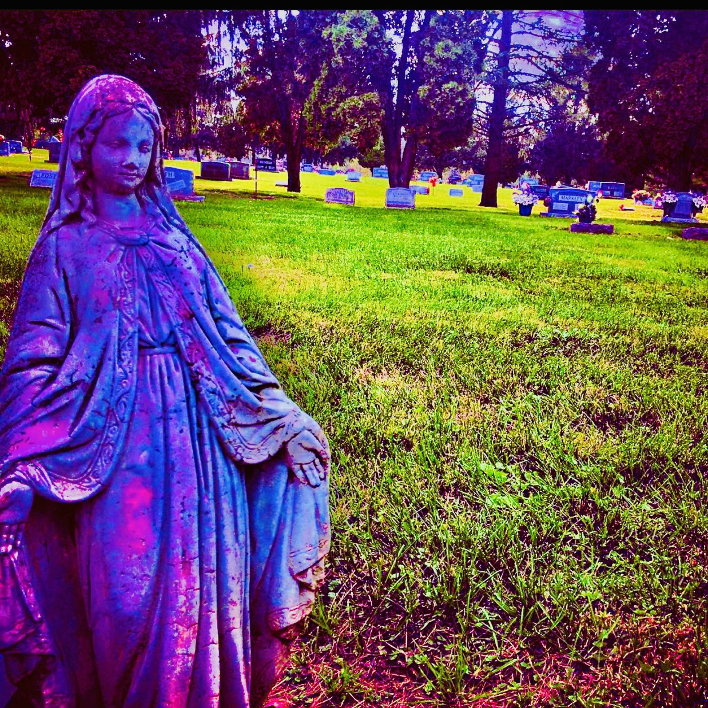 reincarnated head lice