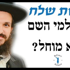 פרשת שלח לך למי השם לא מוחל?